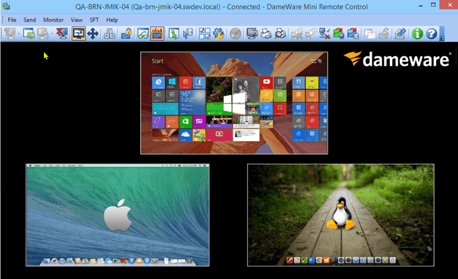Dameware Remote Support